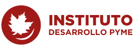 INSTITUTO DESARROLLO PYME